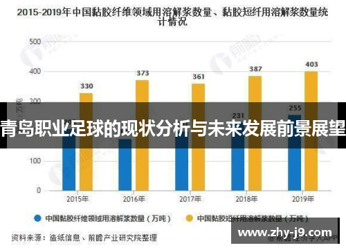 青岛职业足球的现状分析与未来发展前景展望