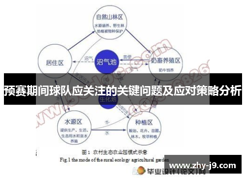 预赛期间球队应关注的关键问题及应对策略分析